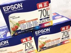 EPSON IC6CL70L
