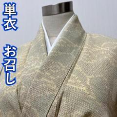 KL1645 単衣 お召し 身丈150cm 着物 正絹