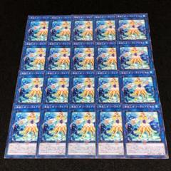 No.8116 遊戯王 海晶乙女コーラルアネモネ