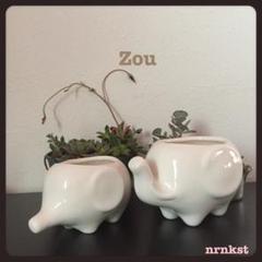 【象の親子 2点set】植木鉢 多肉植物 サボテン 寄せ植え プランター 置物