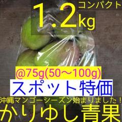 沖縄県産 摘果/青マンゴー@75g(50〜100g)約1.2kg【コンパクト