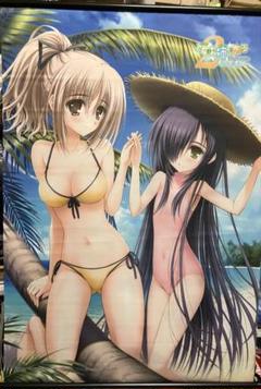 乙女はお姉さまに恋している　二人のエルダー　B2タペストリー