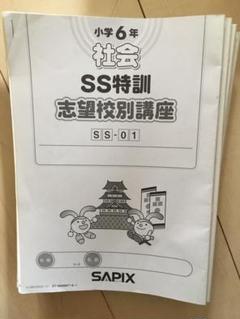 2025年最新】SS特訓 社会の人気アイテム - メルカリ