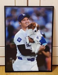 祝ドジャース大谷翔平&デコピン MLB！A3サイズポスターフレーム付き①