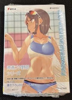青春ブタ野郎はビーチクイーンの夢を見ない+ SSリーフレット付き