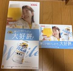 小芝風花　B2 ポスター　非売品　1セット　アルコン 小芝風花さん＆綾野剛さん ALCON(日本アルコン) 販促ポスター