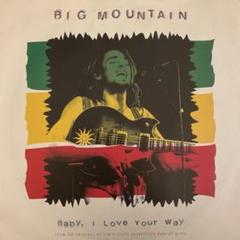 Big Mountain Baby I Love Your Way レア7インチ Big Mountain / Baby, I Love Your Way / ビッグ・マウンテン