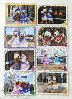 ディズニー スペシャルフォト ドナルド デイジー 写真 スペフォ ドナデジ