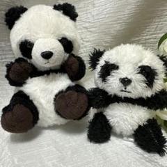 パンダぬいぐるみ 中型 白と黒