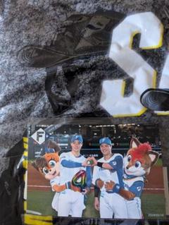 71WaOu6cOwL._UF350,350_QL50_.jpg