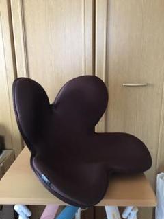 MTGボディーメイクシートスタイル(正規品)