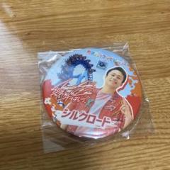 フィッシャーズ　fischers　那須ハイランドパーク　缶バッジ　シルクロード