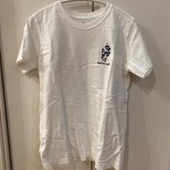 モンベル