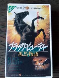 N.Ｙ.ビッグ・ママ・ブルース VHS 映画 レア 希少 ブラックムービー N.Y.ビッグ・ママ・ブルース VHS 映画 レア 希少 ブラック