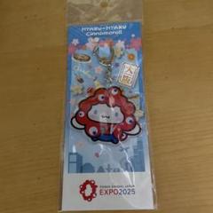 EXPO2025 ミャクミャクなりきりアクリルキーホルダー シナモロール