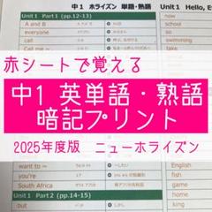 中1英語　英単語・熟語 暗記プリント（ニューホライズン）★定期テスト・受験対策