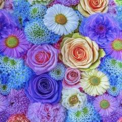 ❣️【限定】カラフルお花柄立体感　綿100%シーチング生地　110x100cm
