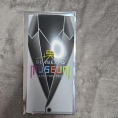 GLAY EXPO MUSEUM TERU チケットケース