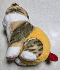 モフサンド　mofsand　えびにゃん BIGぬいぐるみ 〜おぱんつ〜　猫