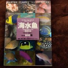 スズメダイ ひと目で特徴がわかる図解付き　ネイチャーウォッチングガイドブック スズメダイ ひと目で特徴がわかる図解付き | 株式会社誠文堂新光社