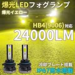 ほぼ新品　成功の実現 カワサキ ZX-6R 2019年式 2BL-ZX636Gの諸元・スペック情報
