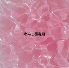 オーダーページ(1ページ1名様) - メルカリ