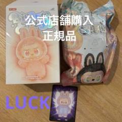 【ラブブ LUCK】 THE MONSTERS BigintoEnergy
