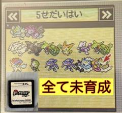 ポケットモンスターホワイト　5世代配布多数収録未育成　自己産