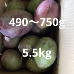 摘果マンゴー　約19kg 61BrbwCEgnL._UF350,350_QL50_.jpg