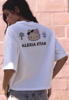 ®️　Alexia Stam ピンク Tシャツ 半袖 ALEXIA STAM（Tシャツ(半袖/袖なし) ・ ピンク/桃色系）のフリマ