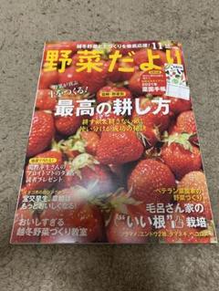 野菜だより2020年11月号