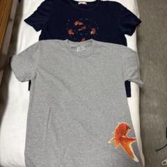 金魚 Tシャツ 2枚セット