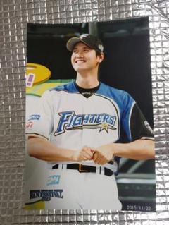 大谷翔平 ハイライトフォト 日本ハム 球団公式写真 8枚セット ⑤ ハイライトフォト 日本ハムファイターズ 大谷翔平 陽岱鋼 公式
