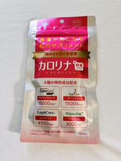 ODECO.MART カロリナ酵素プラス 120粒