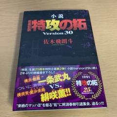 2024年最新】小説 疾風伝説 特攻の拓 Version30 の人気アイテム - メルカリ