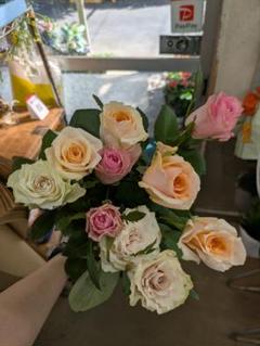 切り花品種バラ苗　レアバラ 　ウィザー♡ バラ 切り花品種バラ苗 レアバラ ウィザー♡ バラ - メルカリ