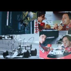 Williams Senna FW16 1:43 ブルーノセナ直筆サイン入り - メルカリ