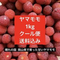新鮮ヤマモモ　2キロ やまもも 2キロ ヤマモモ果実｜Yahoo!フリマ（旧PayPayフリマ）
