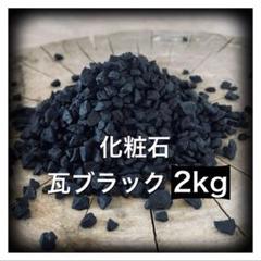 2025年最新】#YKBizarrePlantsの人気アイテム - メルカリ