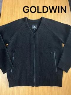 PERTEX QUANTUM Down Vest | Goldwin(ゴールドウイン
