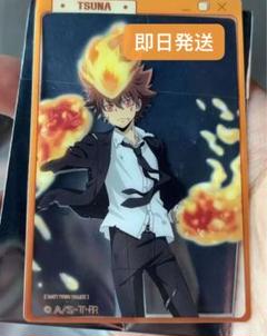 家庭教師ヒットマン REBORN! 澤田綱吉 特典アクリルカード