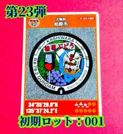 人気カラーの m58654366190_1.jpg?1749005857 その他