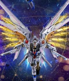 METAL ROBOT魂 マイティストライクフリーダムガンダム