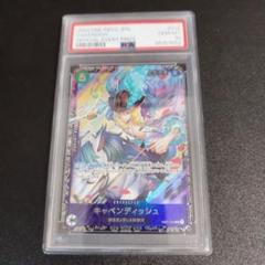 2025年最新】キャベンディッシュ フラッグシップ psa10の人気
