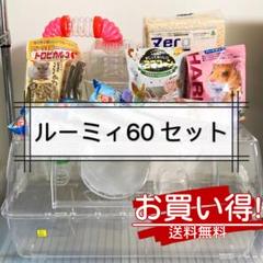 ルーミィ60 まとめ売り 楽天市場】【8／1限定】当選確率2分の1！1等最大100