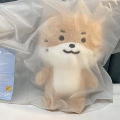 SEVENTEEN MINITEEN ぬいぐるみ 大 ディノ チャンダリ MINITEEN ディノ ぬいぐるみ チャンダリ ミニティーン - メルカリ