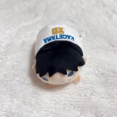 ハイキュー 日向翔陽 影山飛雄 のるキャラ まとめ売り