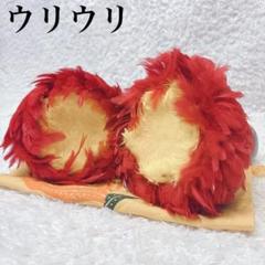 ウリウリ 新品・未使用 着脱式 楽天市場】ウリウリ 着脱式セット Mサイズ フラ フラダンス フラ