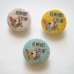 花粉症★缶バッジ 3個セット