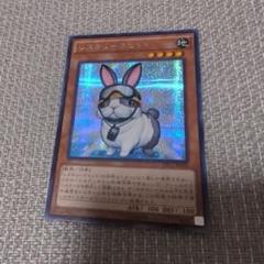 61GzA4yvgPL._UF350,350_QL50_.jpg